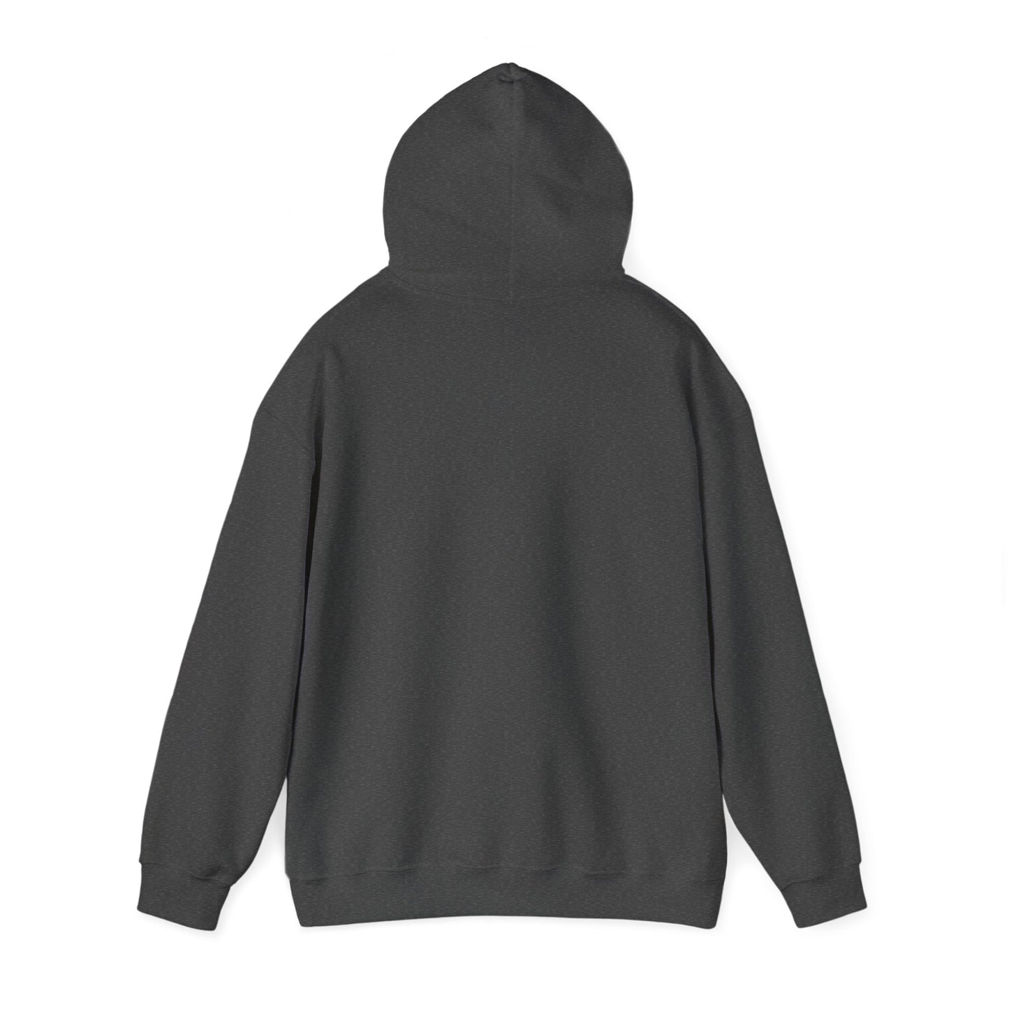 CentenniAle Hoody